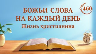 Божьи слова на каждый день: Вхождение в жизнь | Отрывок 460