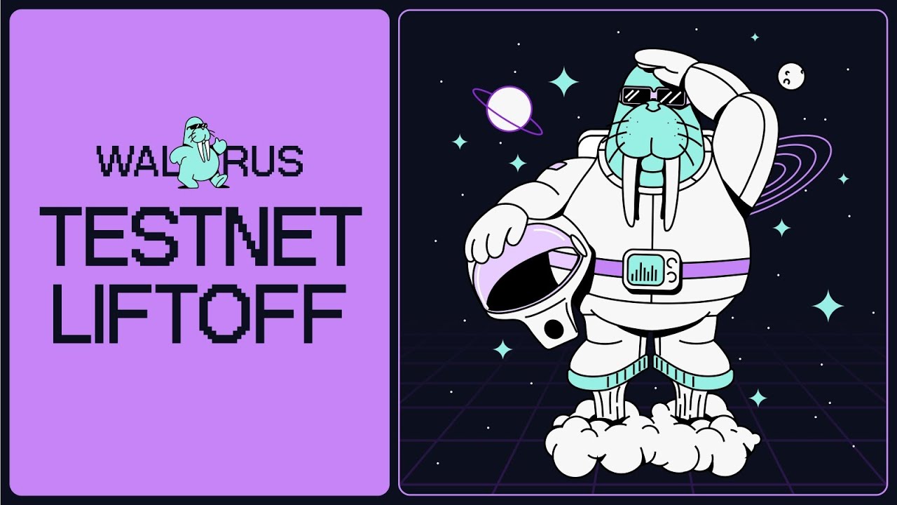 HOW TO PERFORM THE WALRUS TESTNET 