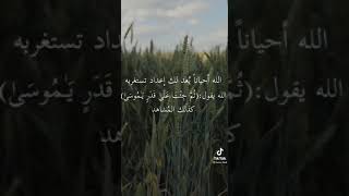 اقدار الله كلها خير