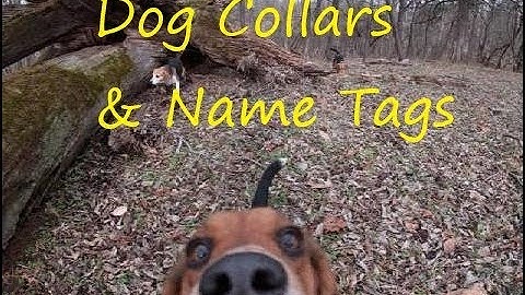 How to attach a ID tag to a collar/Installing a rivet on a nameplate for a dog collar 2019