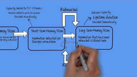 The Multi Store Model of Memory