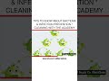 Tips to Know About Bacteria & Infection Prevention * Cleaning with the Academy
