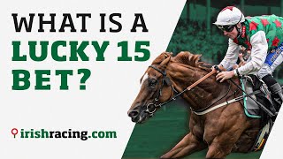What is a Lucky 15 bet | IrishRacing explains...