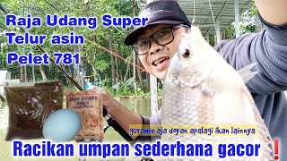Umpan 781 ikan mas