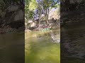 Bannerghatta National Park Ghumne Gaya Tha Thoda Gnjoy Kiya🥰🥰 #song #shortsvideo