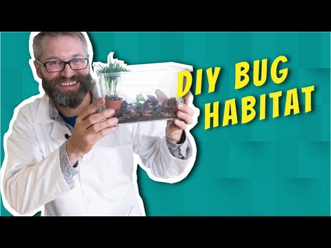 Video: Groundcover for Good Bugs: Stvaranje korisnog staništa insekata s prizemnim pokrovom