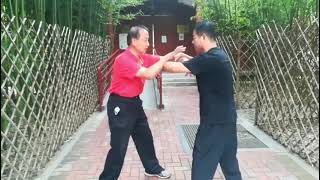 YIQUAN Pushing Hands  training with Mr. Yao Chengrong