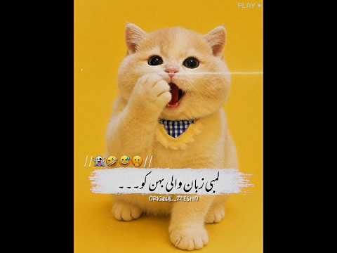 Funny Urdu Poetry for Sister🤣||Funny Eid Poetry status😂#funny #poetry #original_zeesho