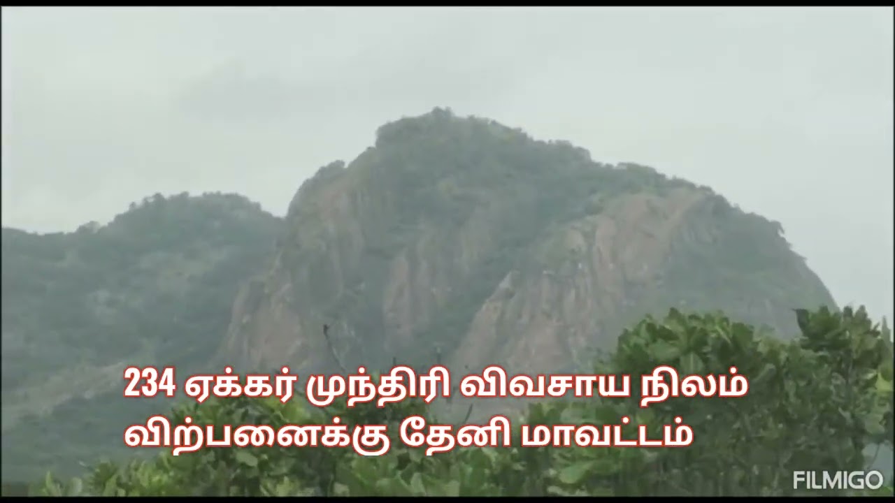 234 ஏக்கர் முந்திரி விவசாய நிலம் விற்பனைக்கு தேனி மாவட்டம் 