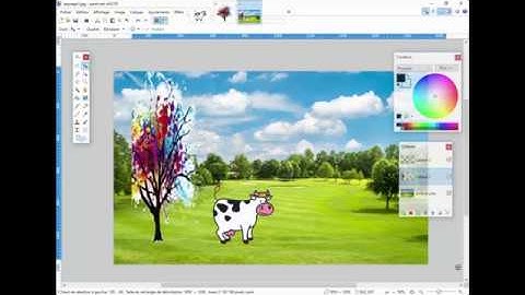 P01 Superposer des images avec PAINT.NET