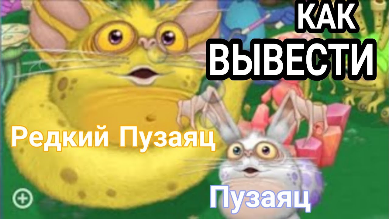 Сколько выводится редкий пузаяц. Редкий пузаяц. Пузаяц вывести. Редкий пузаяц выведение. Как вывести Редково ПУ зайца.