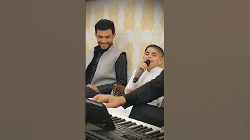 ما تقبل العلاقة ليمونه المهندس يالمهندس المقطع الاصلي دبكات Shorts 