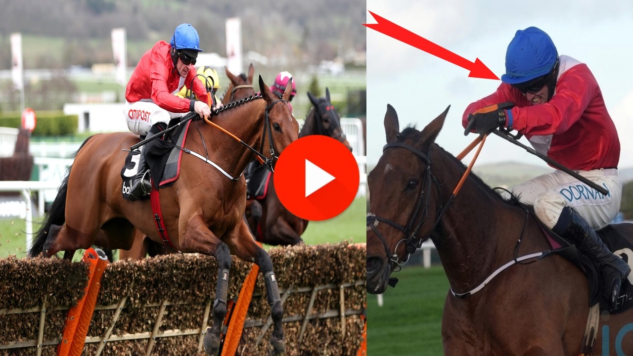 TRAGIC: Envoi Allen Collapses & Dies After Cheltenham Gold Cup 💔