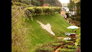 Canon Powershot Sx700 LIVE VIDEO | PREVIEW |FEATURES