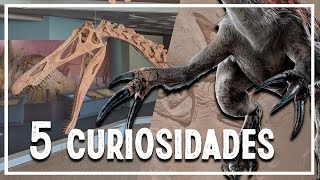 5 CURIOSIDADES de los 🦖  DINOSAURIOS TERÓPODOS que mucha gente no conoce