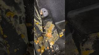 Химчистка Рено с яйцами в салоне #car #auto #автосервис #авто #юмор #химчистка #detailing #diy #рено