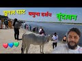 Yugal Ghat 🙏 / Yamuna Darshan / Vrindavan