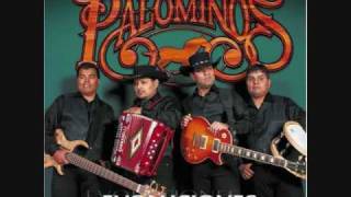 Video thumbnail of "Los Palominos Todos Lloramos Tejano"