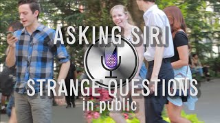 Asking Siri Strange Questions in Public