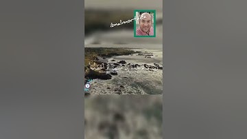 {لا يُكَلِّفُ اللَّهُ نَفْسًا إِلَّا وُسْعَهَا } [سورة البقرة:286]فضيلة الشيخ عبد الباسط عبدالصمد