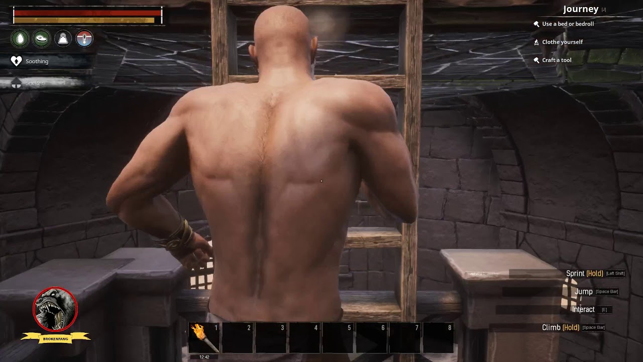 Conan Exiles What Do Ladders Do: Unlocking Vertical Mobility