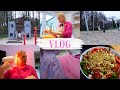 VLOG🇩🇪: ГОТОВЛЮ ОБЕД 🥗 / КУПИЛА ЛАМПУ💡ПОСЫЛКА С САЙТА NEXT