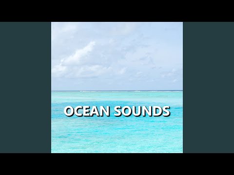 Dynamic Florida Ocean Sounds