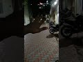 vlog: Palani murugar Kovil vlog 🔥 #shorts #vlog