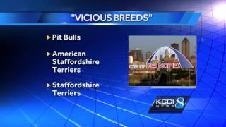Dog Owner Pushes To Change City Ordinance On Vicious Breeds