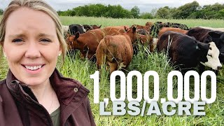 Ultra High Density Grazing Cover Crops  April 19, 2024