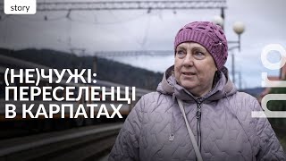 "How can fish live in the mountains?" A film about stereotypes and a hope that kills / hromadske