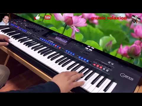 Music Relaxion Rai 2024 Instrumental Douce موسيقى هادئة للراحة و التركيز 