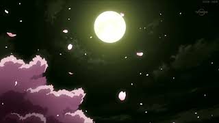 Mr.kitty - Forget Slowed Reverb