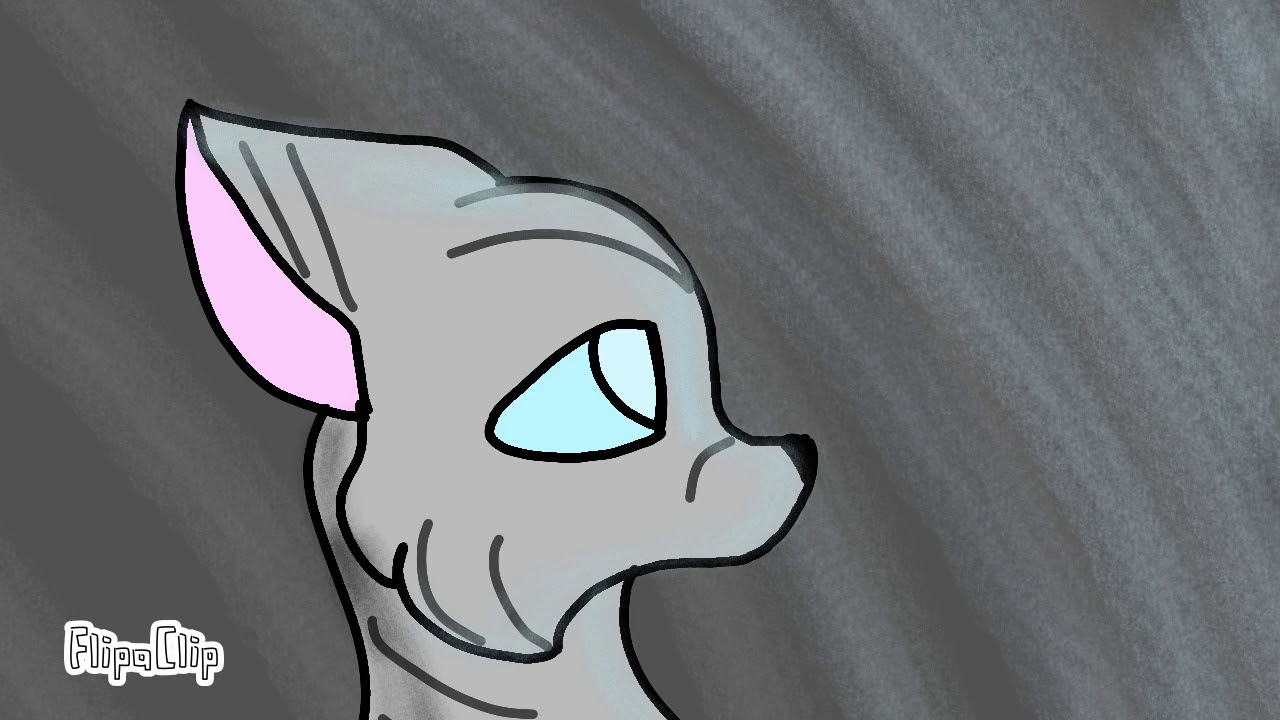 на мап Sally Chel 13 part