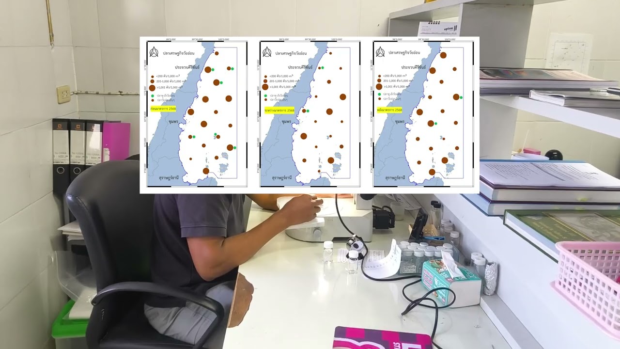ผลการประเมินทางวิชาการมาตรการปิดอ่าว 2568 ศูนย์วิจัยและพัฒนาประมงทะเลชุมพร
