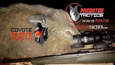 Predator Tactics Coyote Reaper IR and ATN Xsight 2