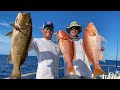 Massive Yellow Eye Snapper {Catch Clean Cook} 3 fish at one time!!!