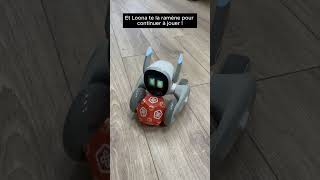 Robot De Compagnie Loona - Leobotics