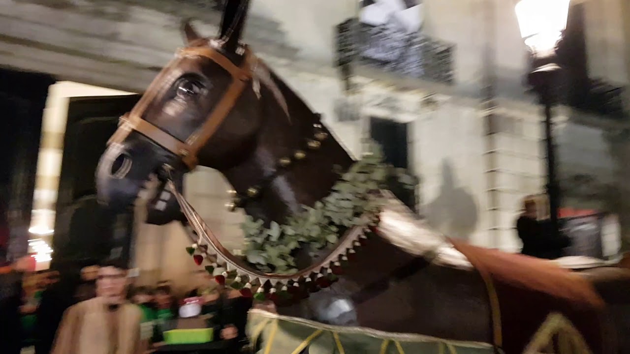 #450Mulassa Ball final de les Mulasses a la Virreina per Santa Eulàlia - #Gegants #Mulassa