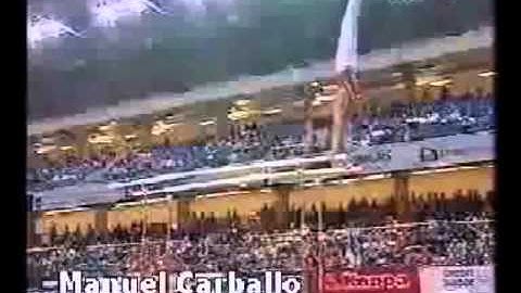 Parallel Bars Tippelt Salto Forward to Upper Arm Hang Gymnastics Video