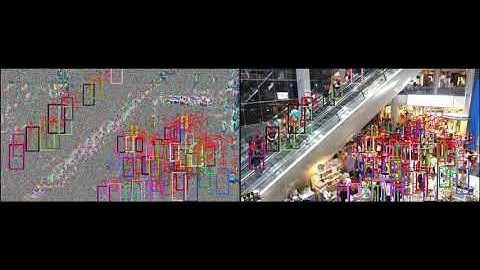 Deeping Source Anonymized Video Analytics Comparison