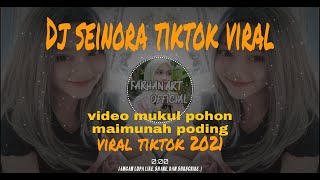 Dj seinora tiktok viral by ucil fvnky / video mukul pohon maimunah poding terbaru 2021