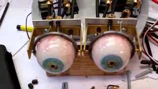 animatronic eye lids with eyes test 1