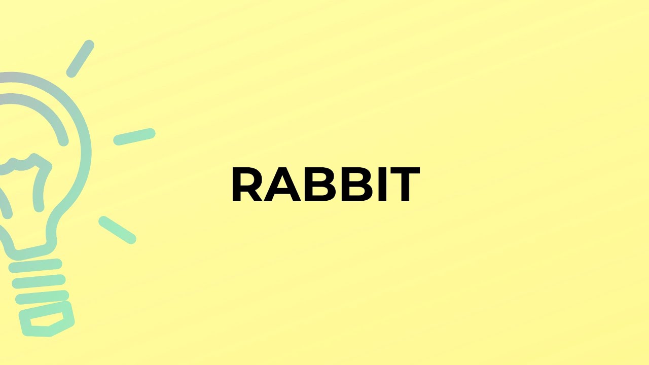 What is the meaning of the word RABBIT? YouTube