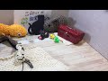 できましたの