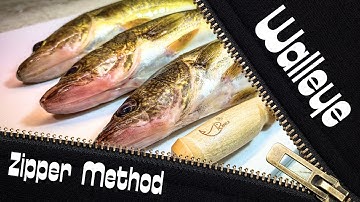 How to Fillet A Walleye Using The IMPROVED Zipper Method!