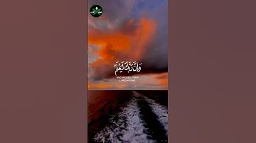 و إن ربك ليعلم ما تكن صدورهم و ما يعلنون | سورة النمل [ الآية 74 ] #القرآن_الكريم #subscribe