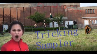 Cryptic City Sampler