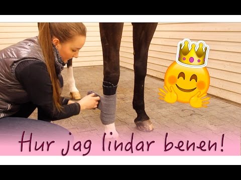 Video: Hur Man Blindar En Häst