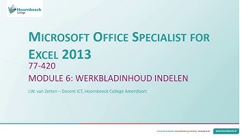 Microsoft Office Specialist for Excel 2013 - Module 6